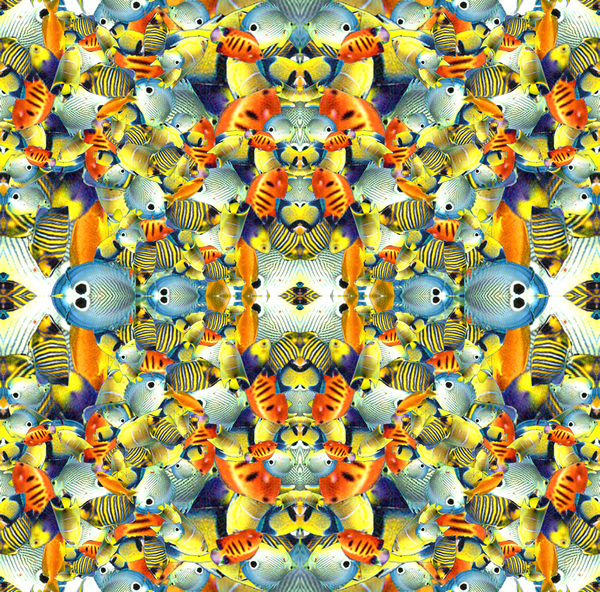 Kaleidoscope Fish Tile od Robyn Parker