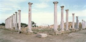 The Palaestra (photo)