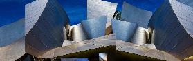 Disney Concert Hall-Montage (Color Version)