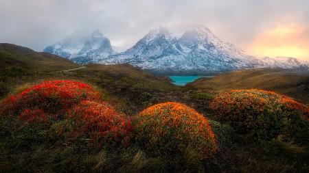 Spring in Patagonia