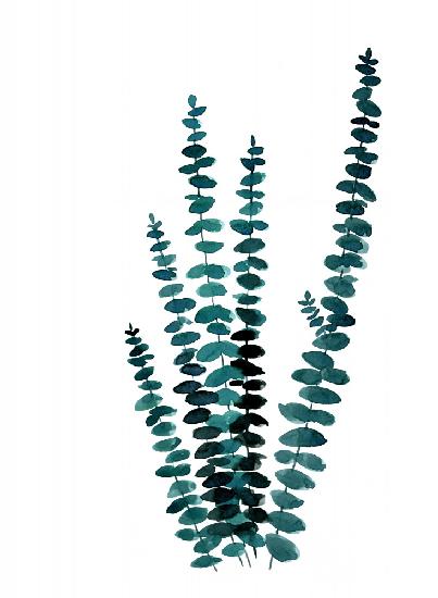 Teal watercolor eucalyptus I