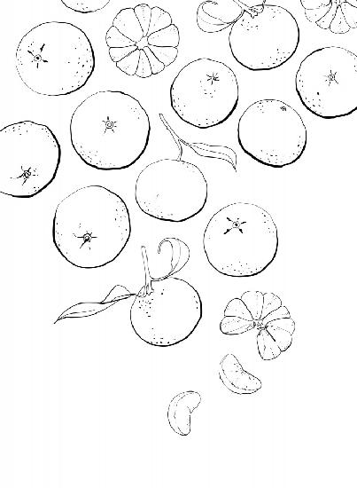 Line art tangerines