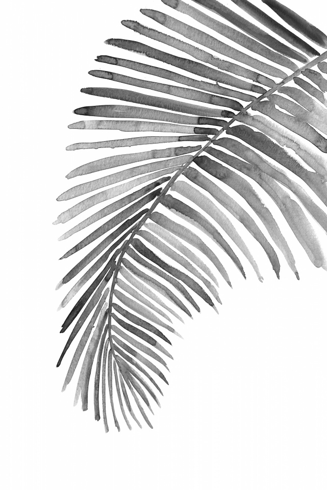 Palm leaf in loose watercolor bw od Rosana Laiz Blursbyai
