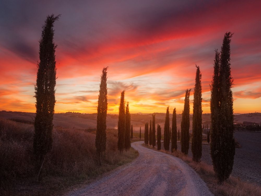 Tuscany sunset od Rostovskiy Anton