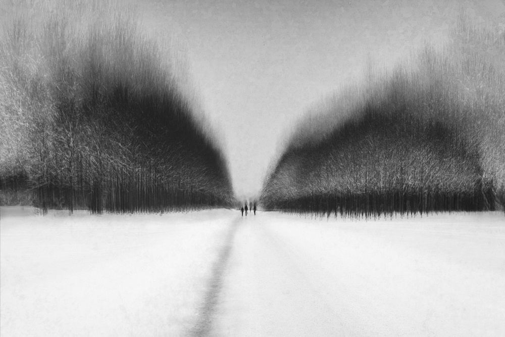 snow walk od Roswitha Schleicher-Schwarz