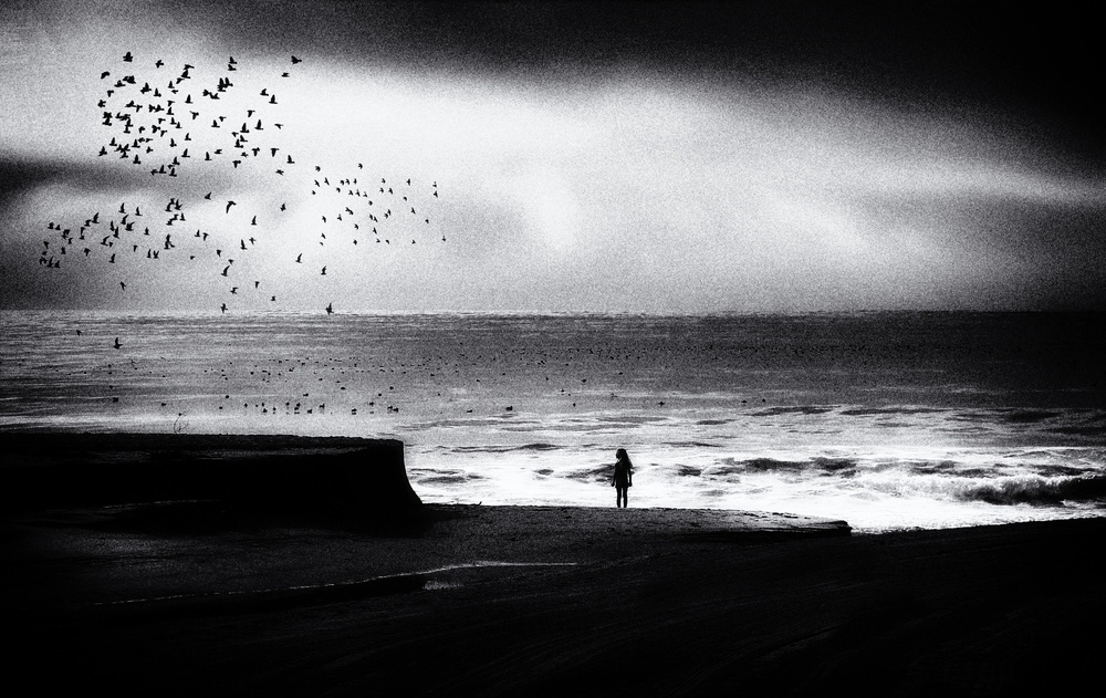 Birds on the beach od Roxana Labagnara