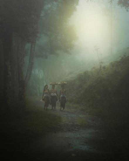 Balinese Girls