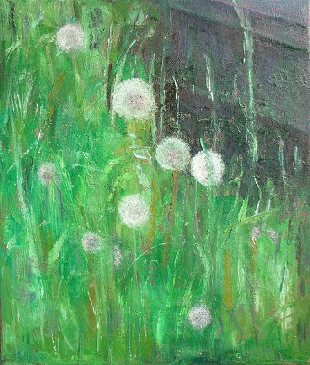 Dandelion Clocks in Grass