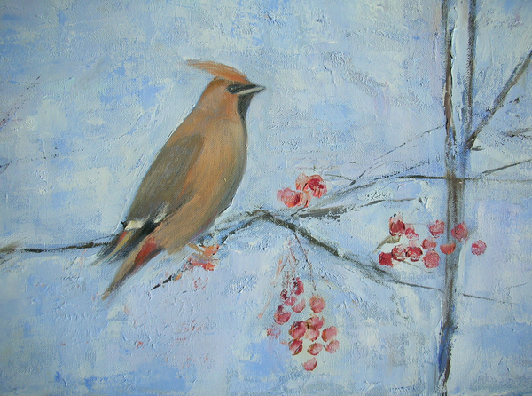 Waxwing od Ruth  Addinall