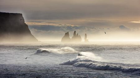 Dyrholaey-1, Iceland