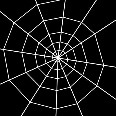 Spinnennetz od Sabine Schaefer