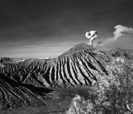 Bromo mountain