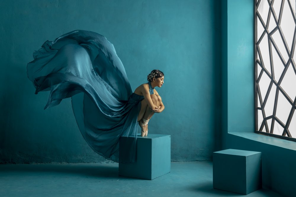Ballet lady od Sally Widjaja