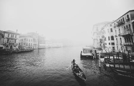 Venezia