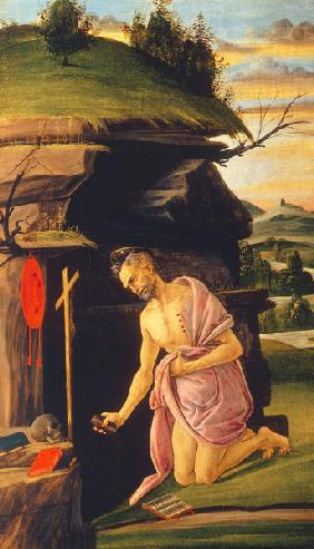 St. Jerome in the desert