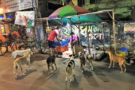 The chicken shop, and its customers. Calcutta.