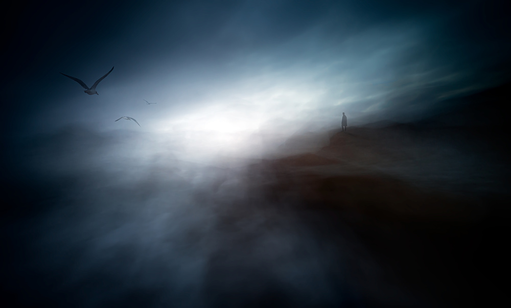 Misty morning on the coast of the birds od Santiago Pascual Buye