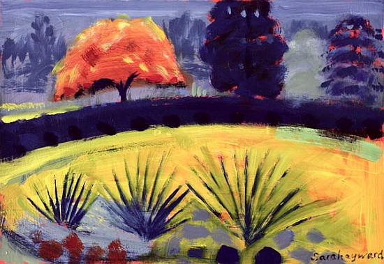 Botanical Gardens, Autumn (oil on card)  od Sara  Hayward