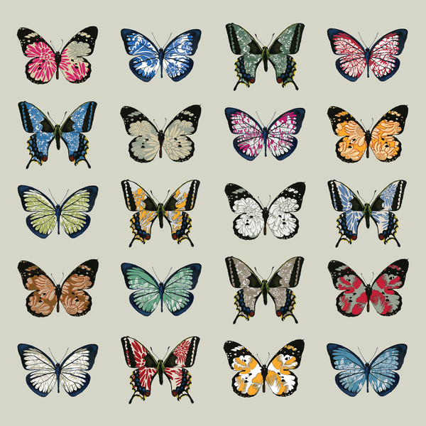 Papillon od Sarah Hough