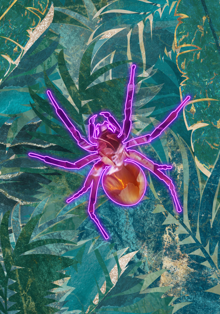 Neon Spider in the jungle od Sarah Manovski