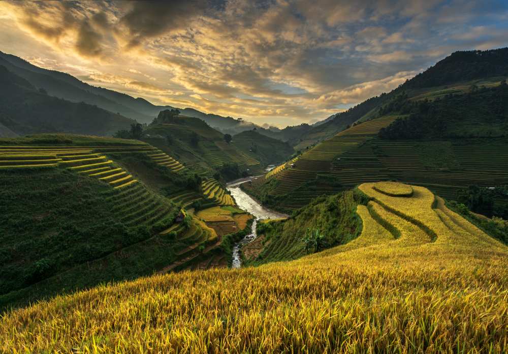 RiceTerrace ( vietnam) od Sarawut Intarob