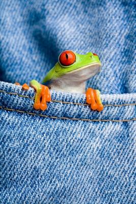 frog in pocket