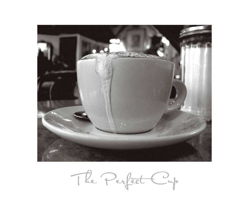 The Perfect Cup od Scott Amour
