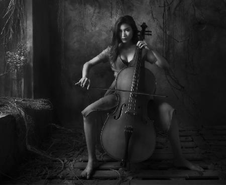 The Cellist