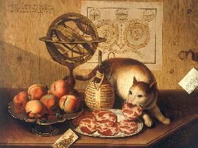 Still-life with cat