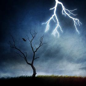 lightning tree