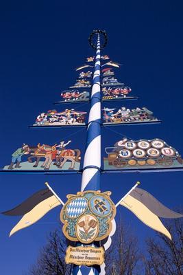 MAIBAUM