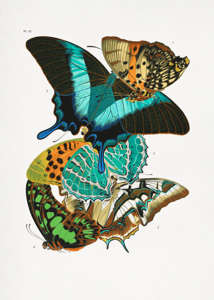 Butterflies 5 od Seguy