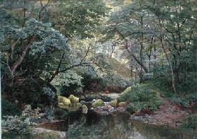 A Woodland Stream