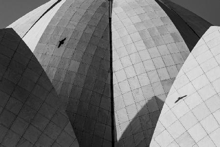 Lotus temple   .. different strokes