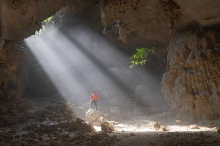 Bathing in sunlight