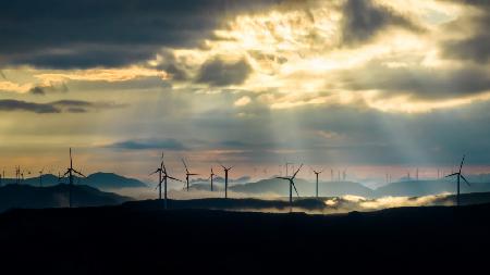 Morning Windmill