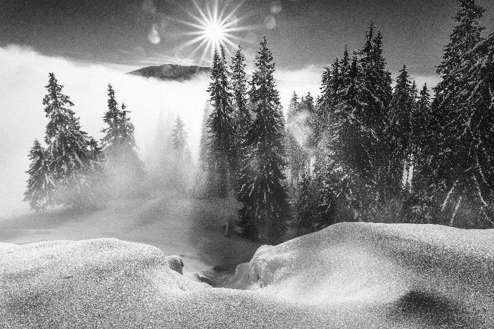 A Winter Tale ! od Sorin Onisor