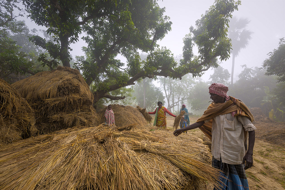 Morning work in winter od Souvik Banerjee