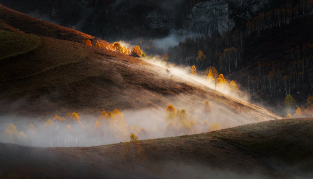 Misty mornings od Stefan Hogea