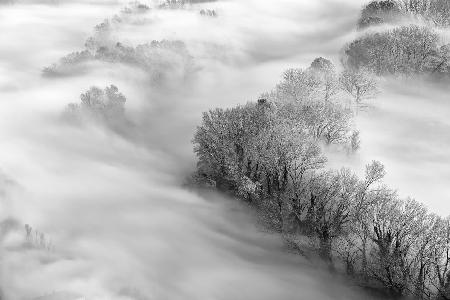 The river and the sea of fog