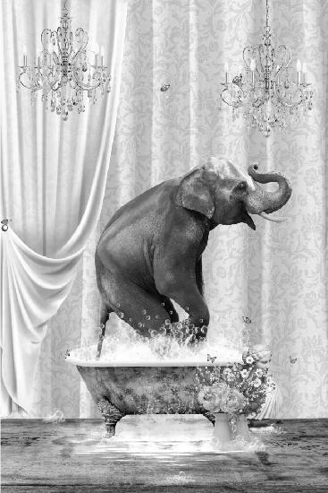 Elephant &amp; Bubbles Black &amp; White