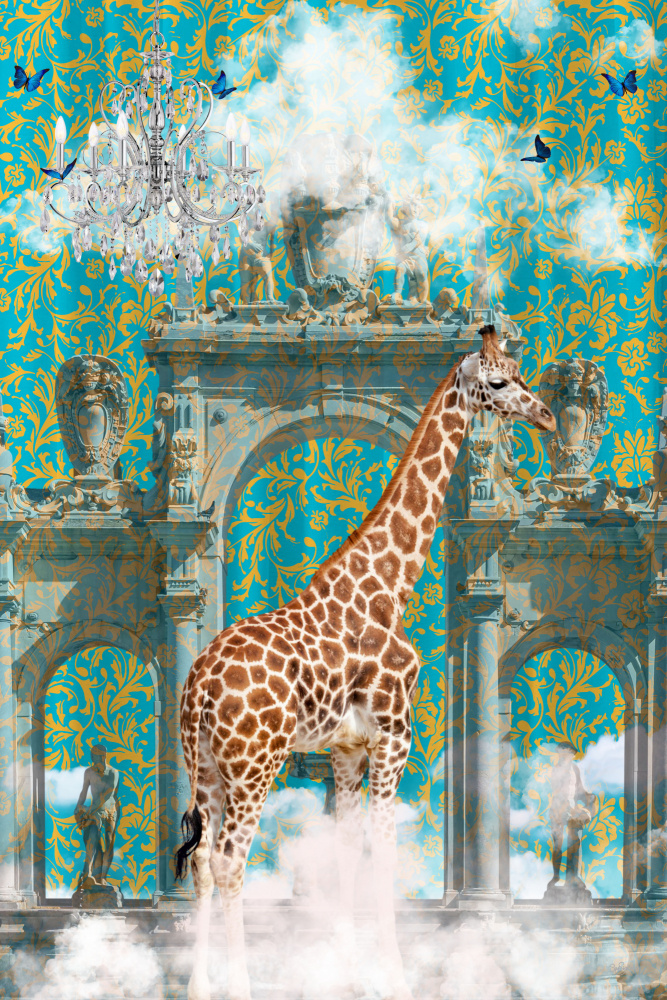 Giraffe Adventures od Sue Skellern