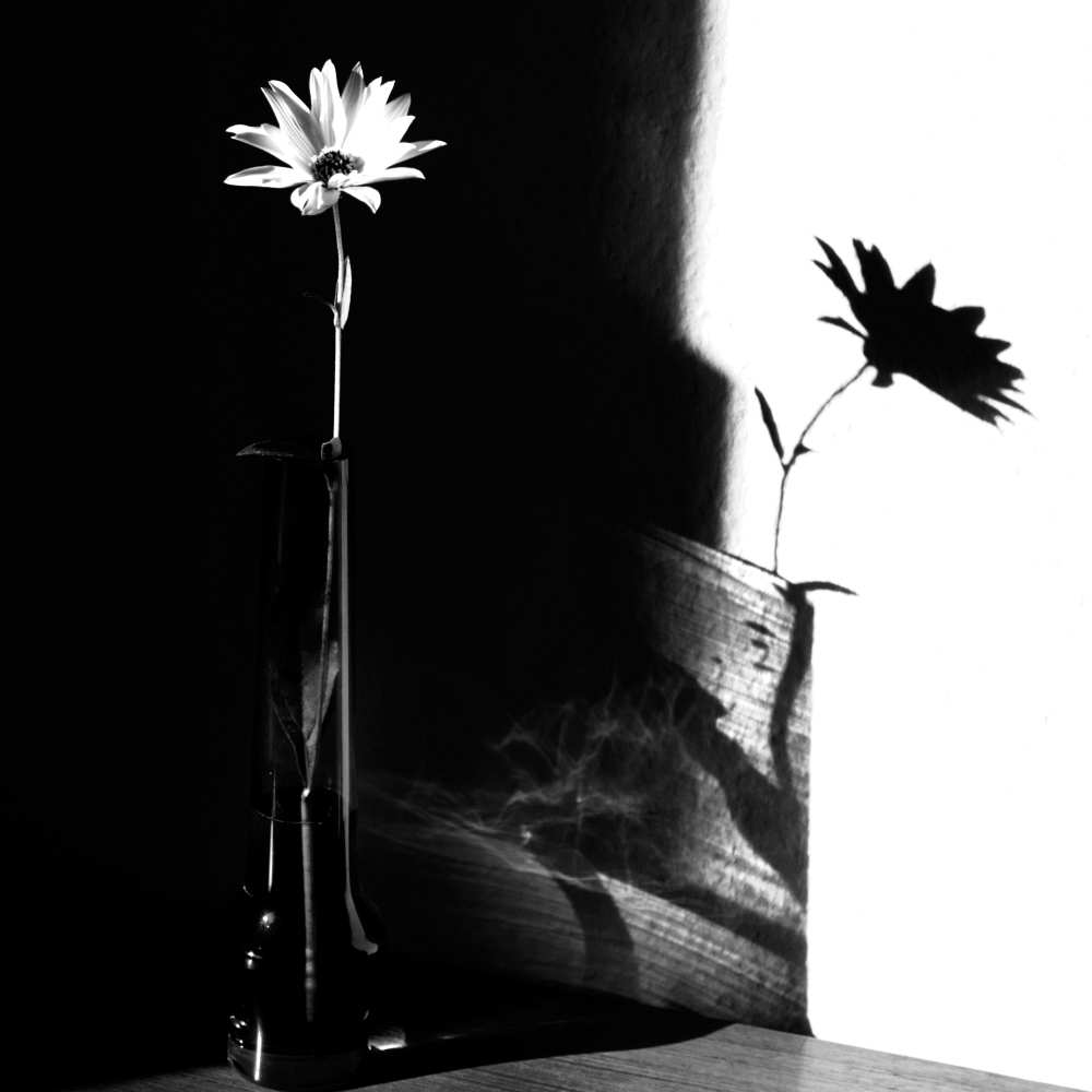 light and shadow od Susanne Wolf