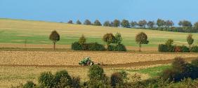 Herbststimmung auf dem Acker