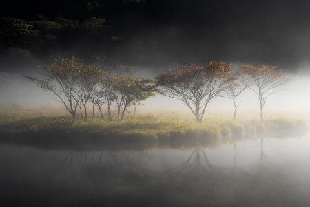 Autumn in Japan