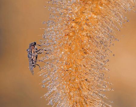 In the waterfall...