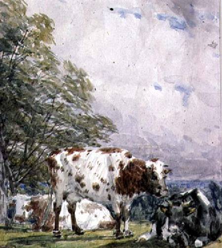 A Study of Cattle od Thomas Baker