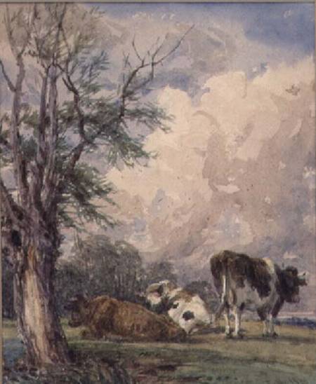 A Study of Cattle od Thomas Baker