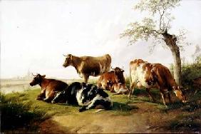 Cattle in a Landscape