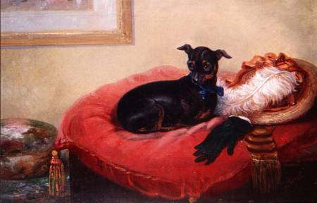 Her Favourite Pet: a Manchester Terrier on a red cushion od Thomas Smythe